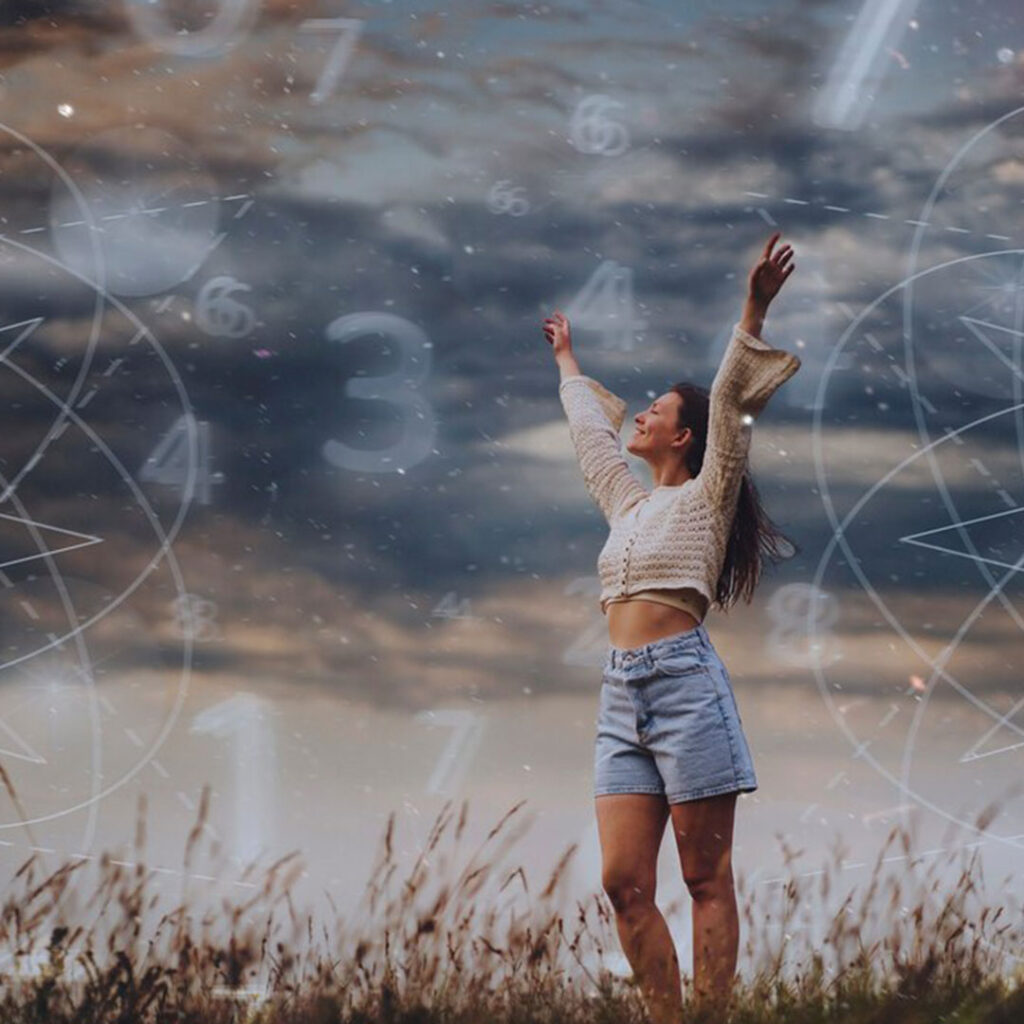 Consulta de Numerologia de Propósito de Vida​